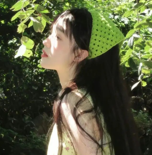 小野猫公路历险记